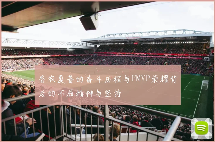 香农夏普的奋斗历程与FMVP荣耀背后的不屈精神与坚持